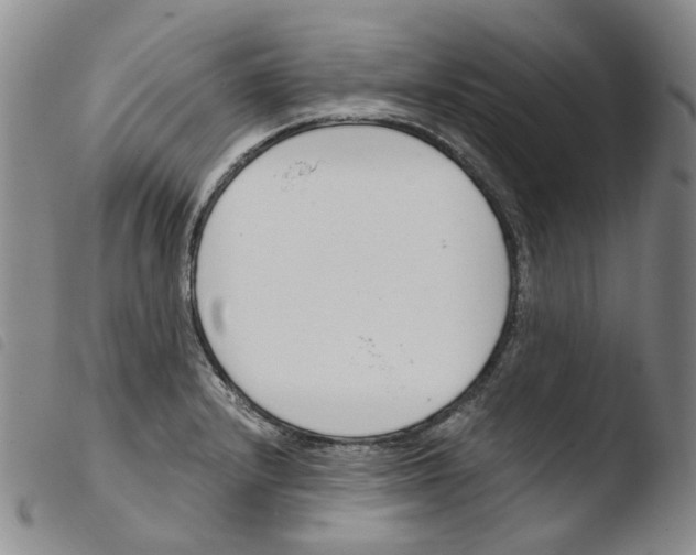 X0000103481232200810241030