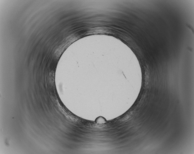 X0000103481233200810241030