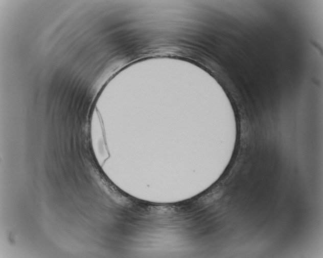 X0000103481234200810241030