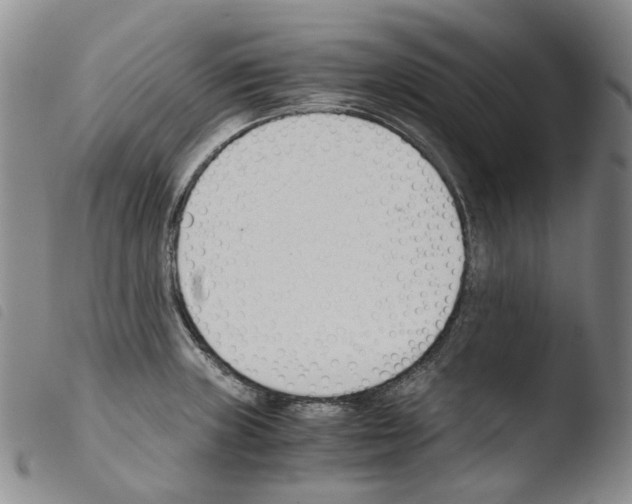 X0000103481235200810241030