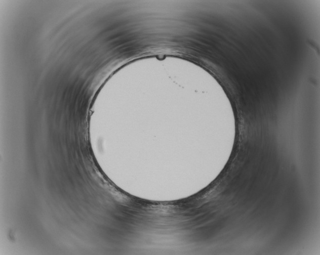 X0000103481236200810241030
