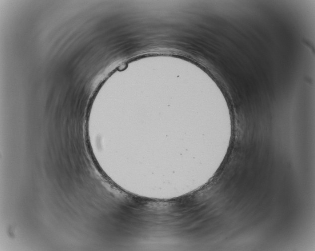 X0000103481237200810241030