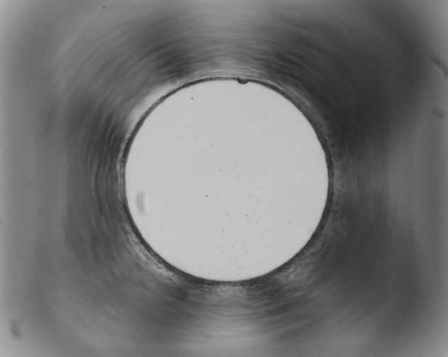 X0000103481238200810241030