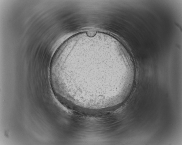X0000103481239200810241030