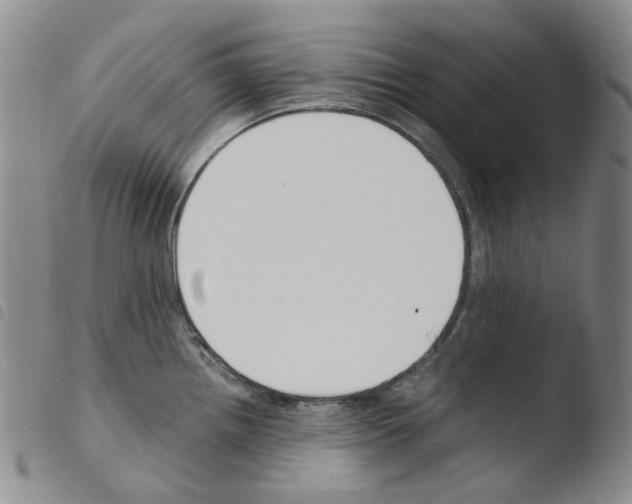 X0000103481242200810241030