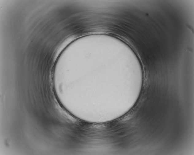 X0000103481243200810241030