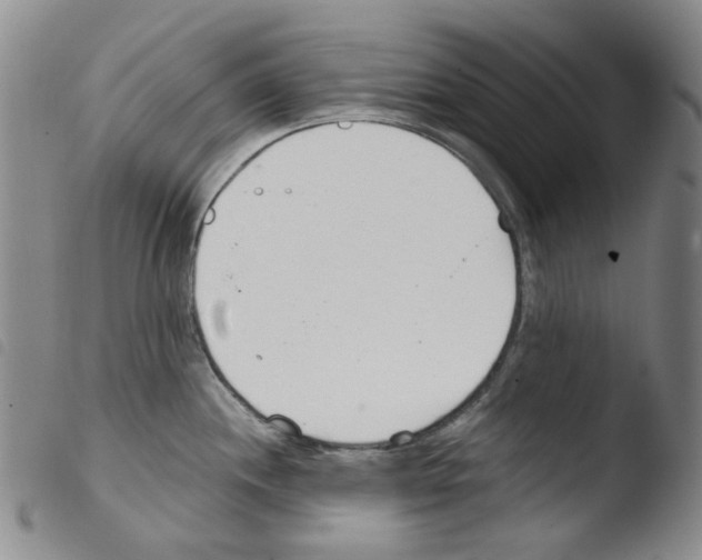X0000103481244200810241030