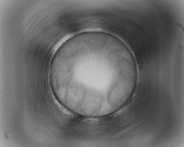 X0000103481245200810241030