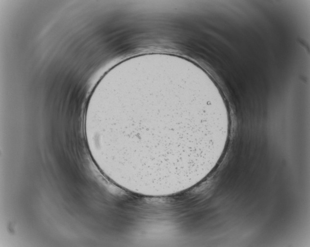 X0000103481246200810241030