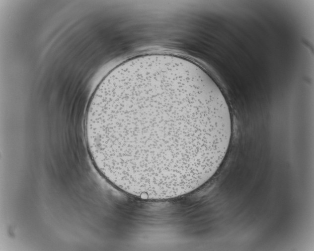 X0000103481247200810241030