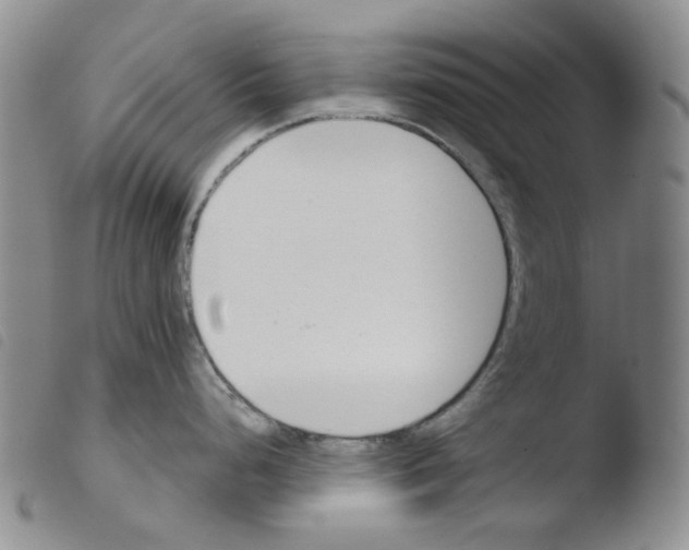 X0000103481248200810241030