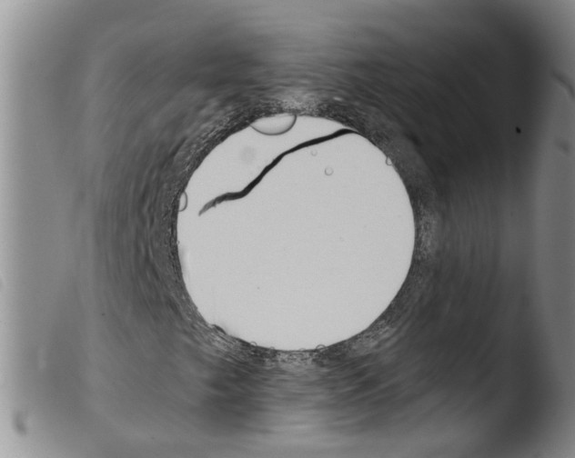 X0000103481249200810241030
