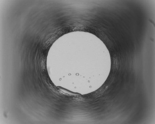 X0000103481250200810241030