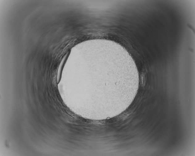 X0000103481251200810241030