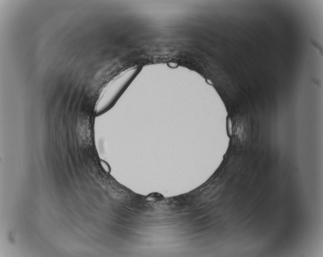 X0000103481252200810241029