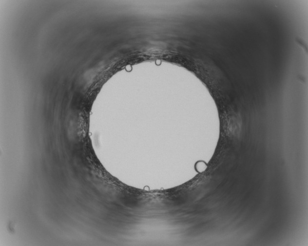 X0000103481253200810241029