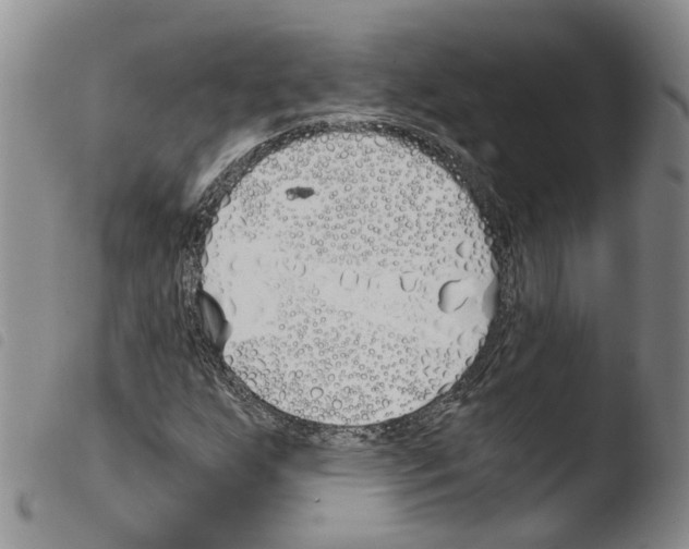 X0000103481255200810241029