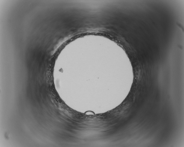 X0000103481256200810241029