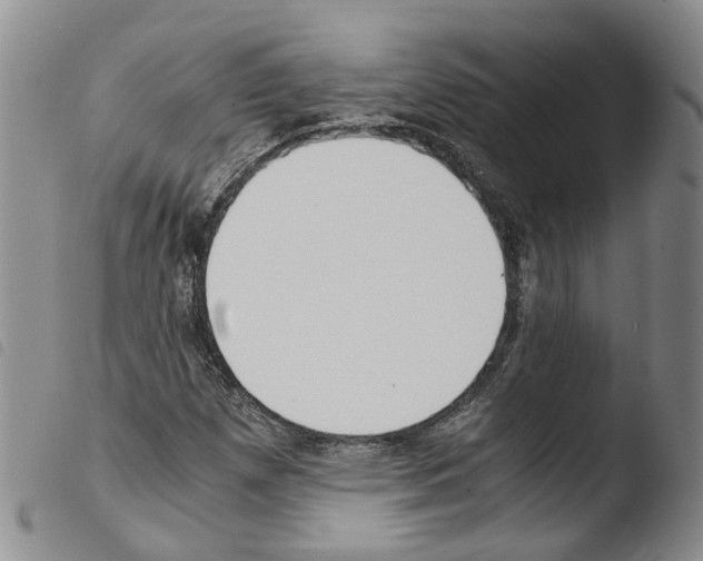 X0000103481257200810241029