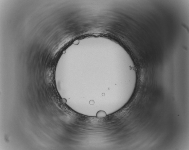 X0000103481258200810241029