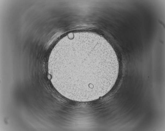 X0000103481259200810241029