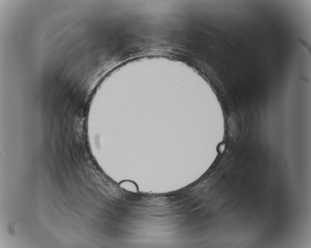 X0000103481260200810241029