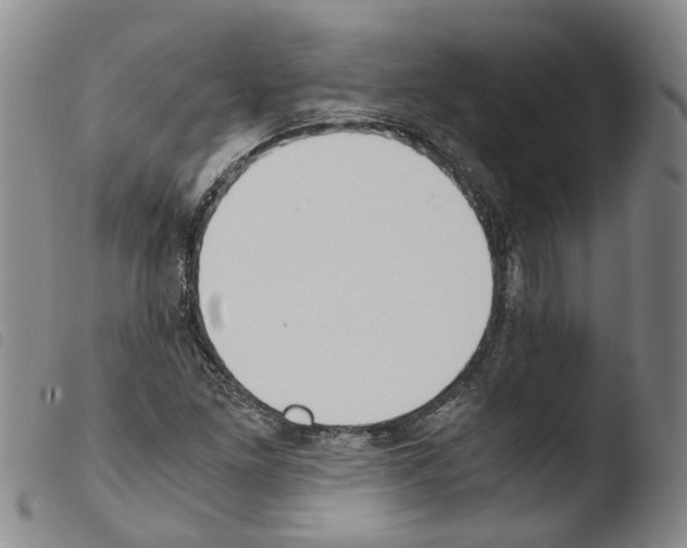 X0000103481261200810241029