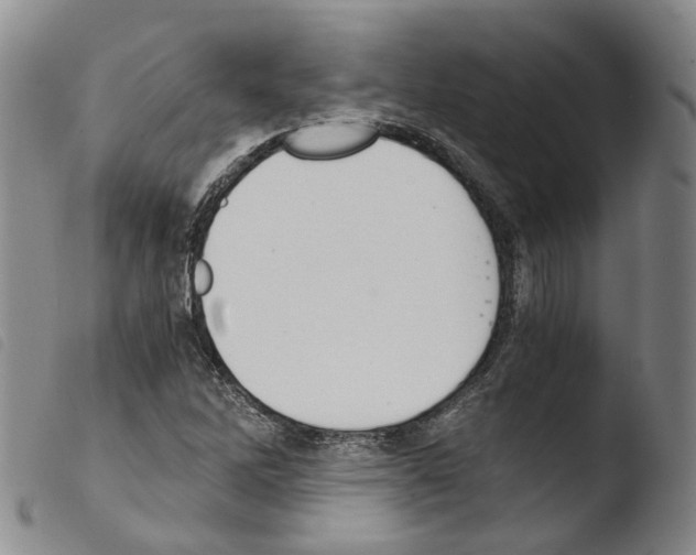 X0000103481262200810241029