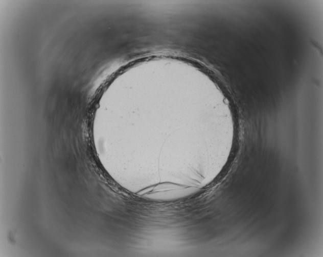 X0000103481263200810241029