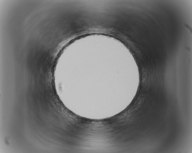 X0000103481264200810241029