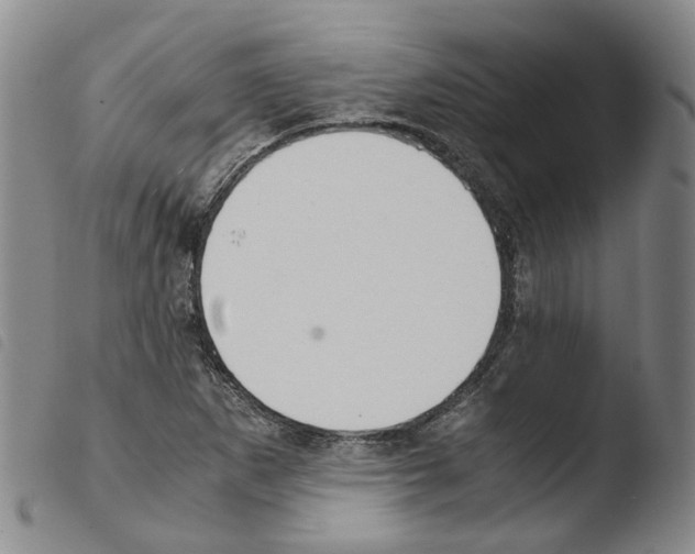 X0000103481265200810241029