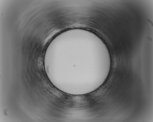 X0000103481266200810241029