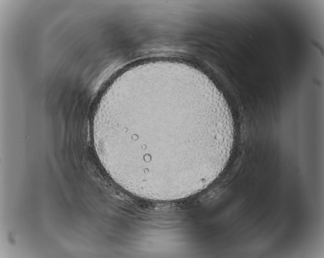 X0000103481267200810241029