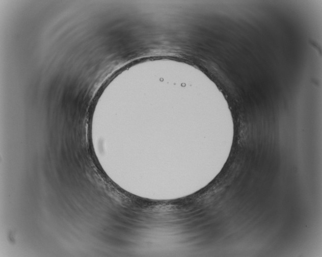 X0000103481268200810241029