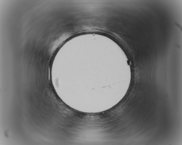 X0000103481269200810241029