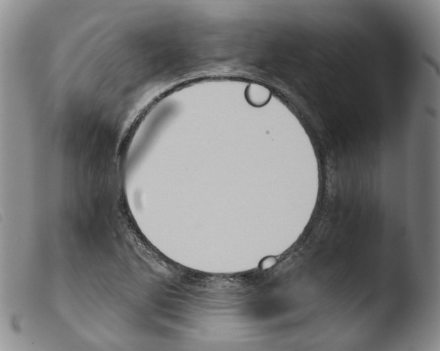 X0000103481270200810241029