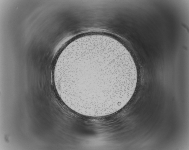 X0000103481271200810241029