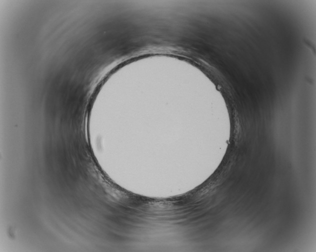 X0000103481272200810241029