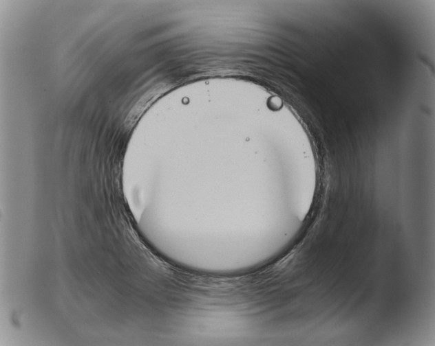 X0000103481273200810241029