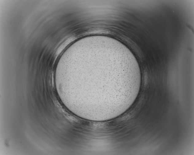 X0000103481274200810241029