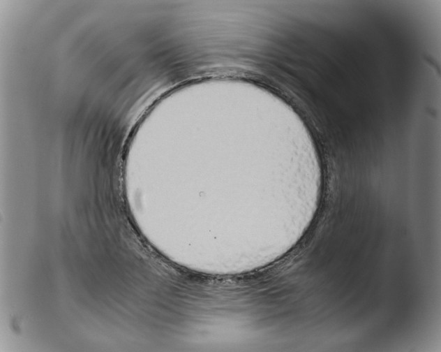 X0000103481275200810241029