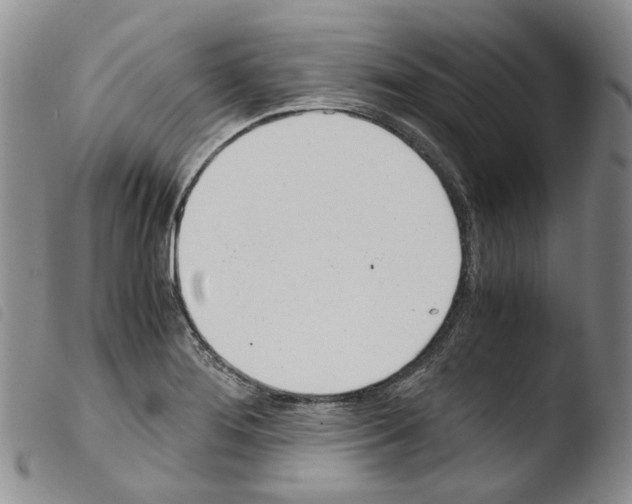 X0000103481276200810241029