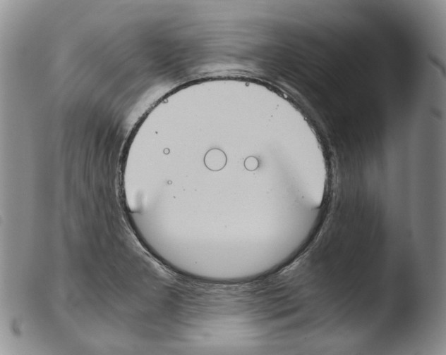 X0000103481277200810241029
