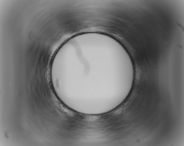 X0000103481278200810241029