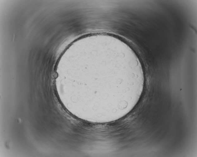 X0000103481279200810241029