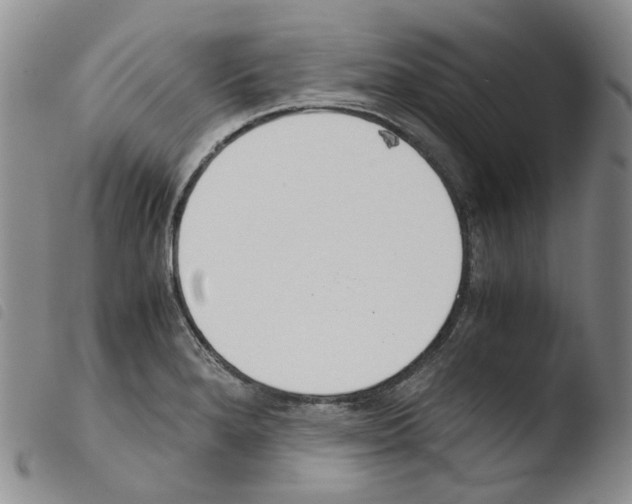 X0000103481280200810241029