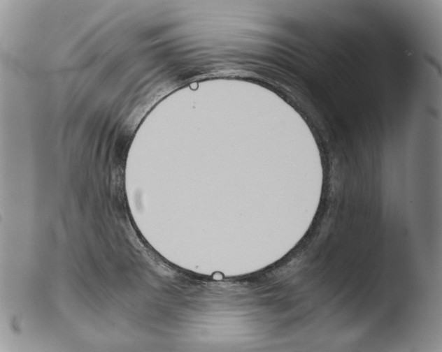 X0000103481281200810241029