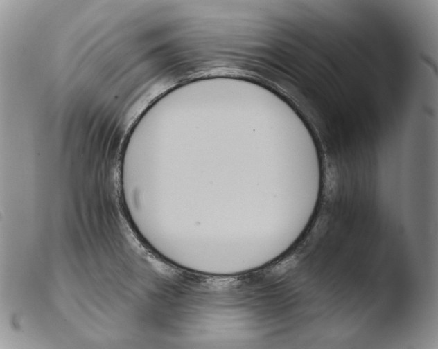 X0000103481282200810241029