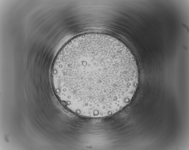 X0000103481283200810241029