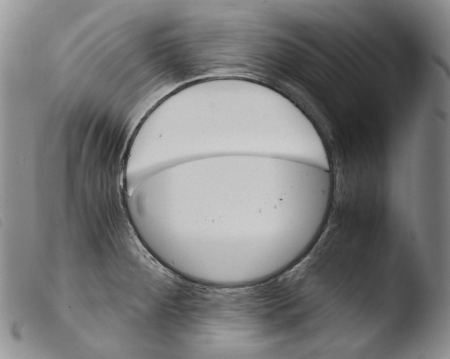 X0000103481284200810241029